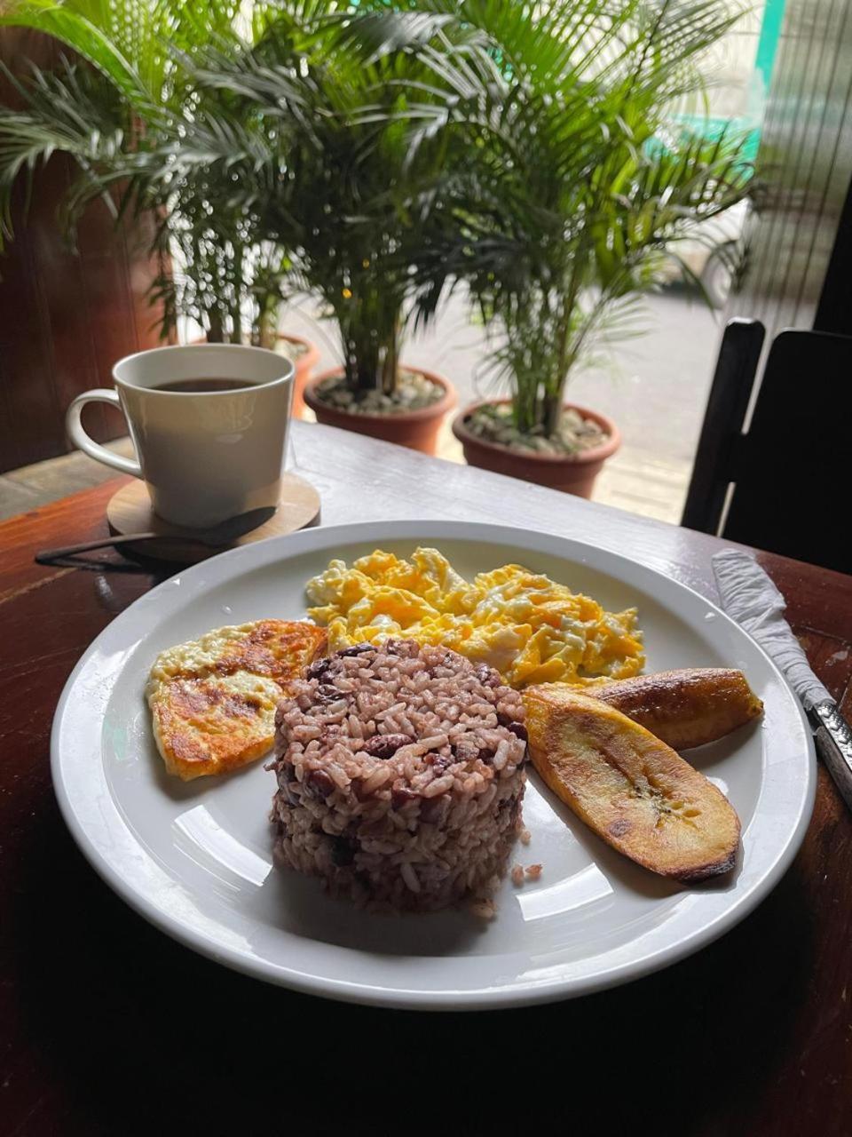 Hotel And Coffe Azul Leon
